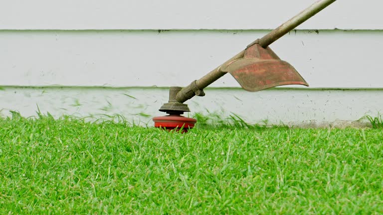 Best Lawn Drainage Solutions  in , OR